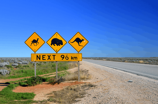 Nullarbor Warning Sign